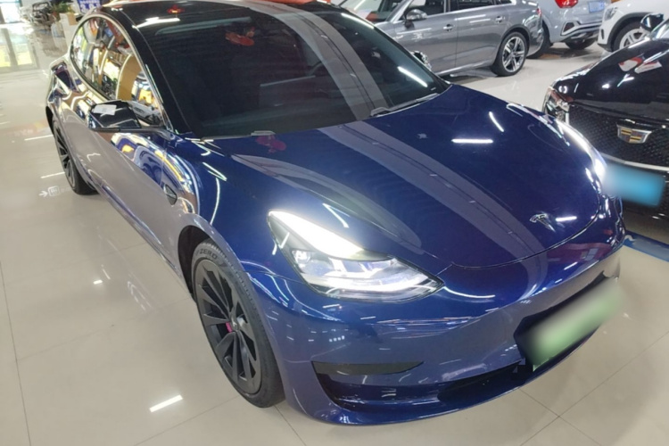 Tesla Model 3 2021 car image #4