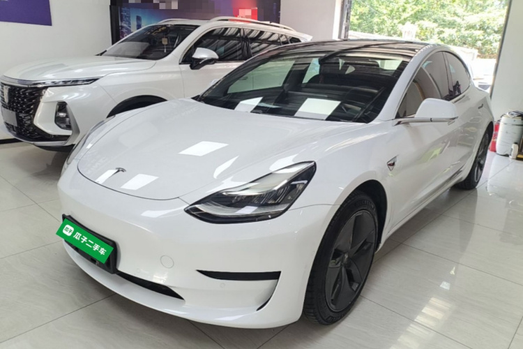 Tesla Model 3 2020 #2 Tesla Model 3 2020 car image #2