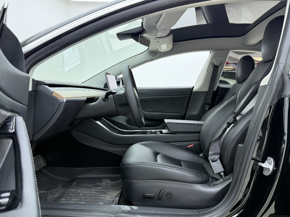 Tesla Model 3 2020 car image #4
