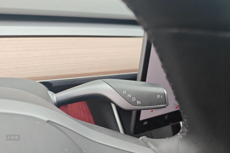 Tesla Model 3 2020 car image #16