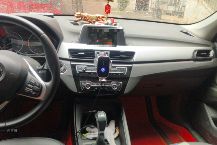 BMW X1 2017 car image #15