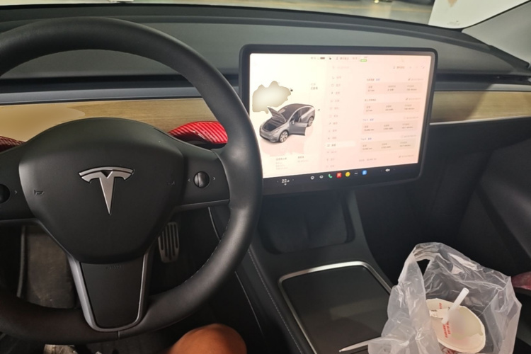 Tesla Model Y 2023 #10 Tesla Model Y 2023 car image #10
