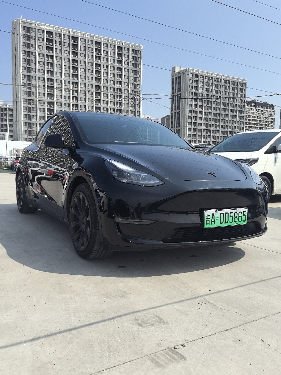 Tesla Model Y 2021 car image 