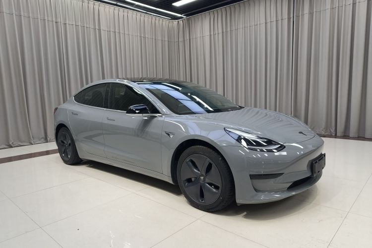 Tesla Model 3 2020 car image #6