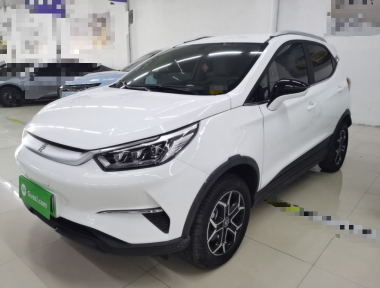 BYD Yuan Pro 2021 car image 