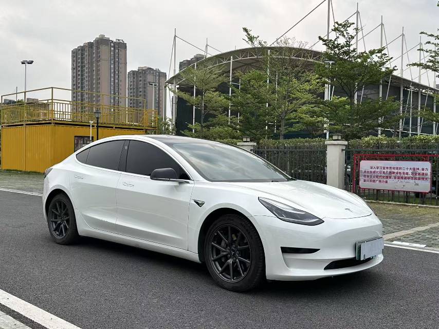 Tesla Model 3 2020 car image #5
