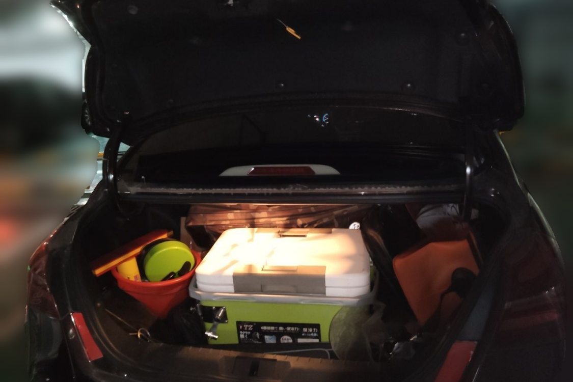 GEELY Emgrand 2019 car image #8