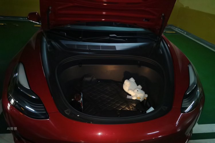 Tesla Model 3 2020 car image #22