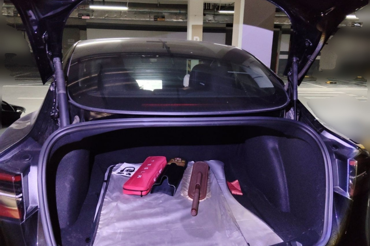 Tesla Model 3 2021 #17 Tesla Model 3 2021 immagine di auto #17