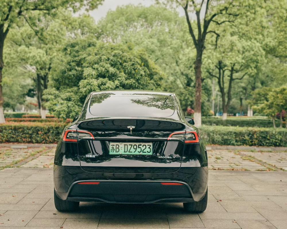 Tesla Model Y 2023 car image #5