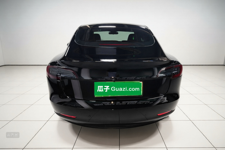 Tesla Model 3 2021 car image #6