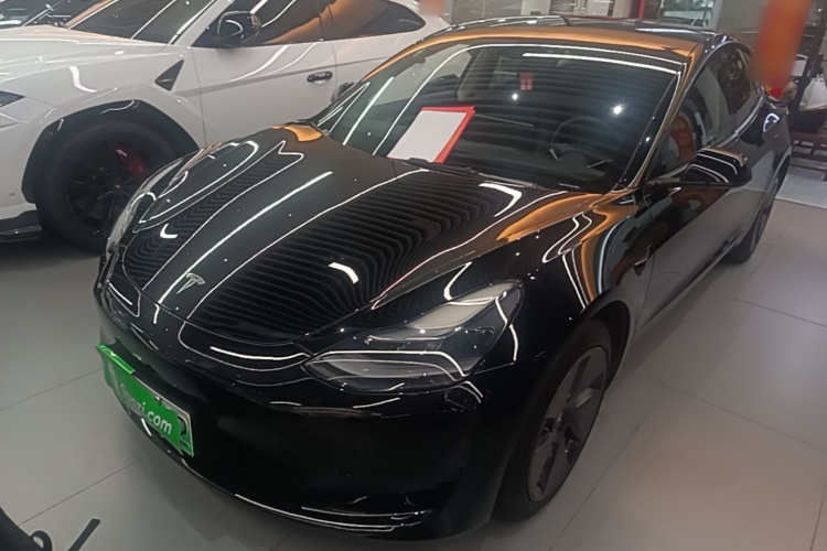 Tesla Model 3 2021 #2 Tesla Model 3 2021 car image #2