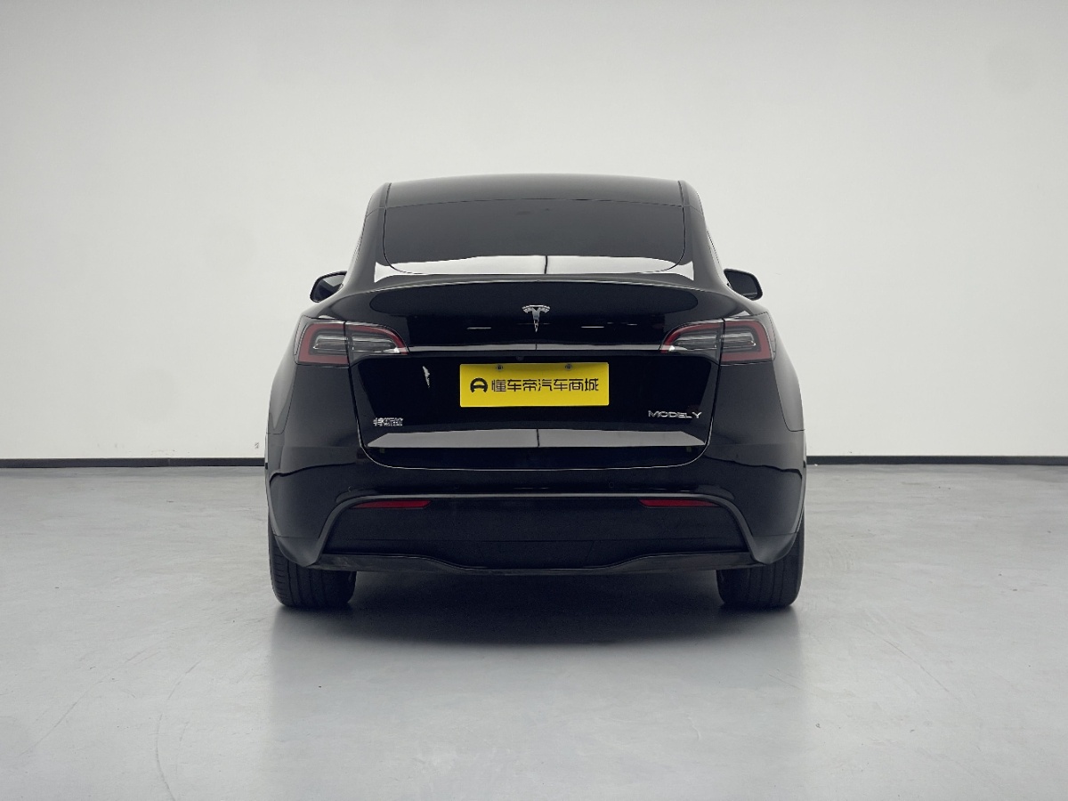 Tesla Model Y 2021 #8 Tesla Model Y 2021 car image #8