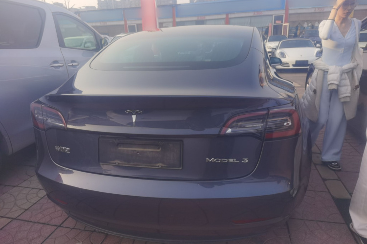 Tesla Model 3 2020 #6 Tesla Model 3 2020 car image #6