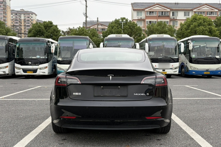 Tesla Model 3 2020 imagem de carro #5