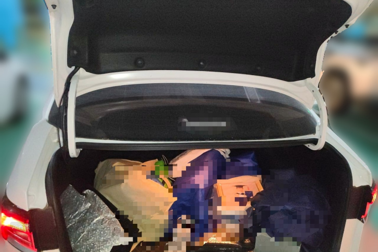 Toyota Corolla 2022 car image #21
