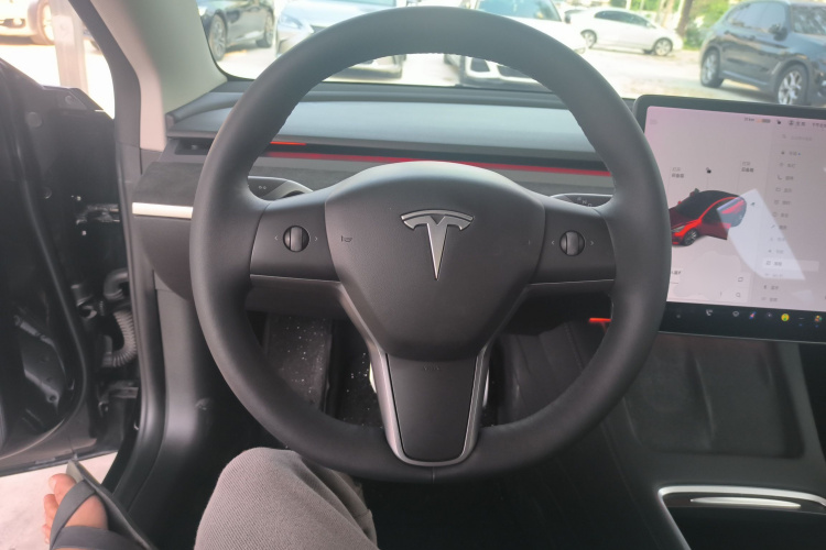 Tesla Model 3 2021 car image #11