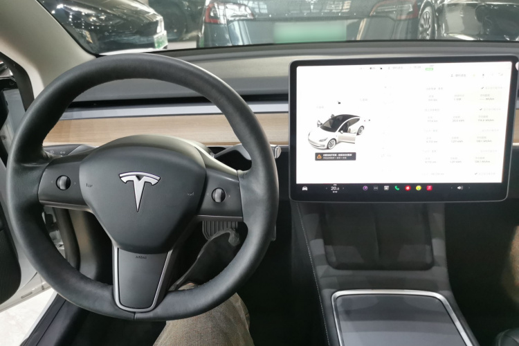 Tesla Model 3 2021 #10 Tesla Model 3 2021 car image #10