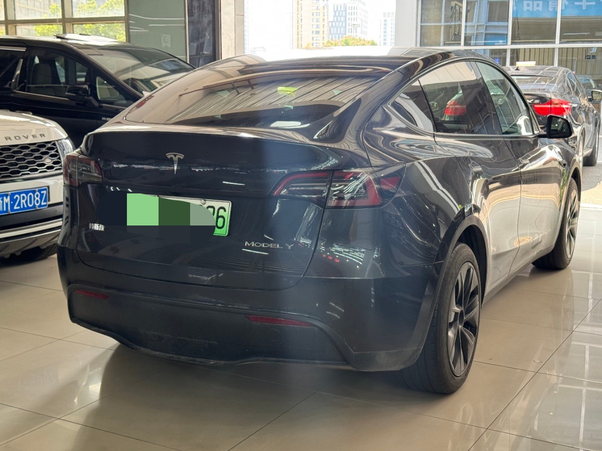 Tesla Model Y 2024 #8 Tesla Model Y 2024 car image #8