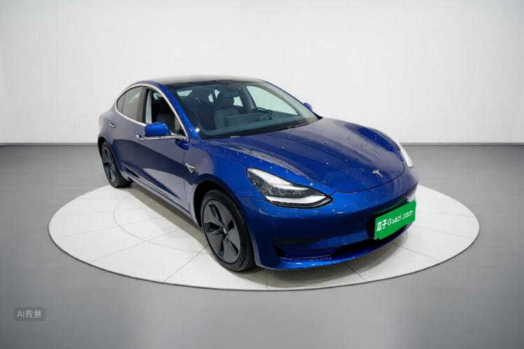 Tesla Model 3 2020 car image #4