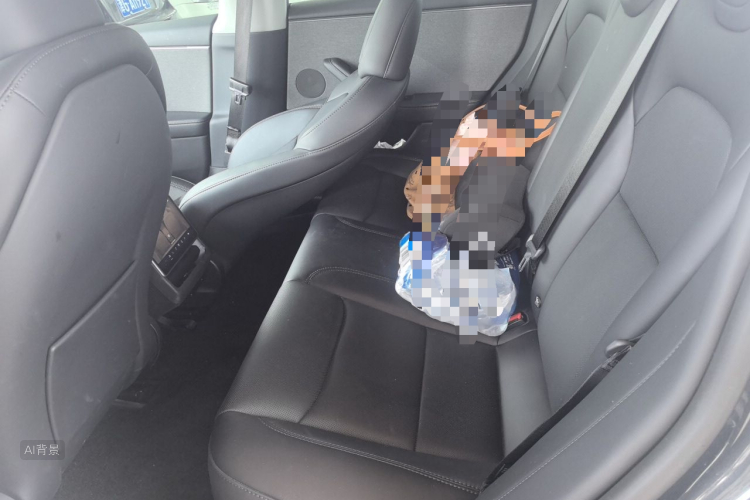 Tesla Model 3 2025 car image #19