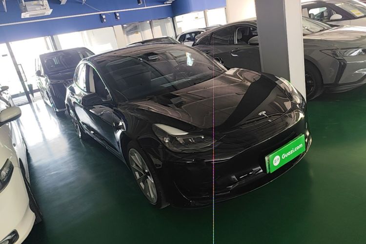 Tesla Model 3 2021 #6 Tesla Model 3 2021 car image #6