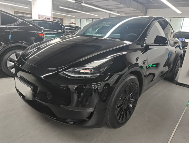 Tesla Model Y 2021 Tesla Model Y 2021 car image