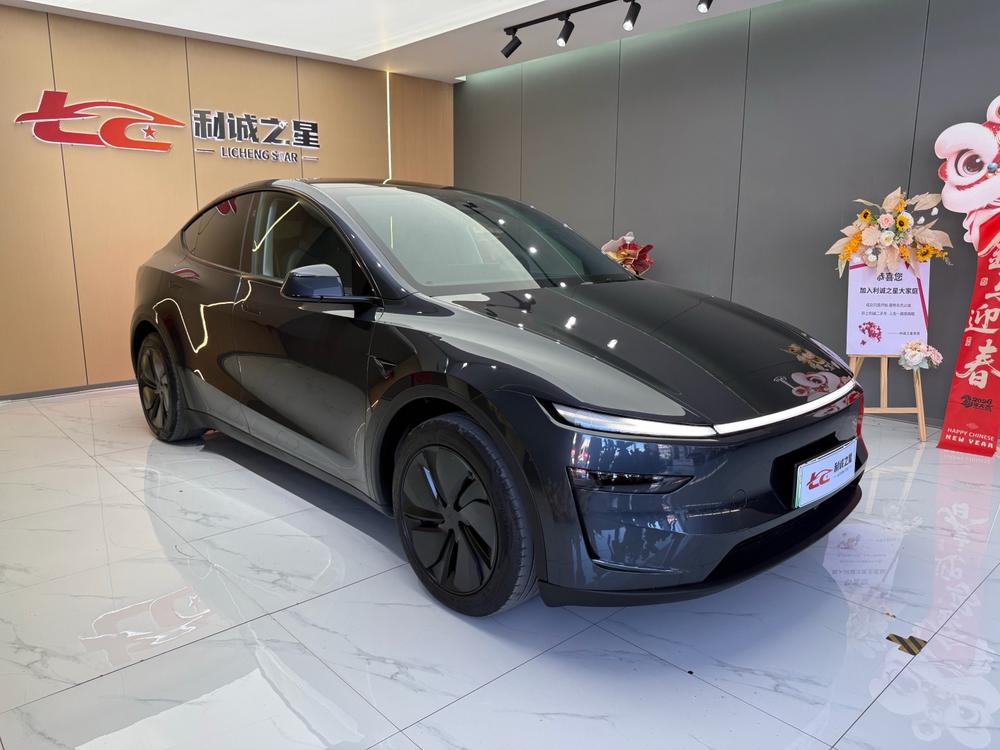 Tesla Model Y 2025 car image #3