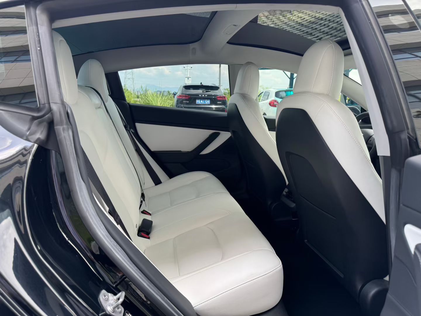 Tesla Model 3 2021 #6 Tesla Model 3 2021 car image #6
