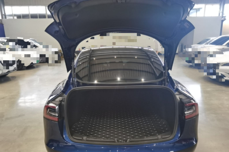 Tesla Model 3 2020 #21 Tesla Model 3 2020 car image #21