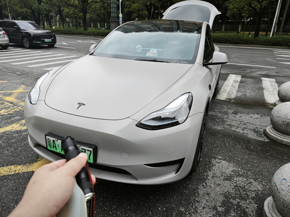 Tesla Model Y 2023 Tesla Model Y 2023 car image