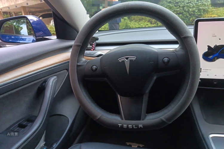 Tesla Model 3 2021 #12 Tesla Model 3 2021 صورة سيارة #12