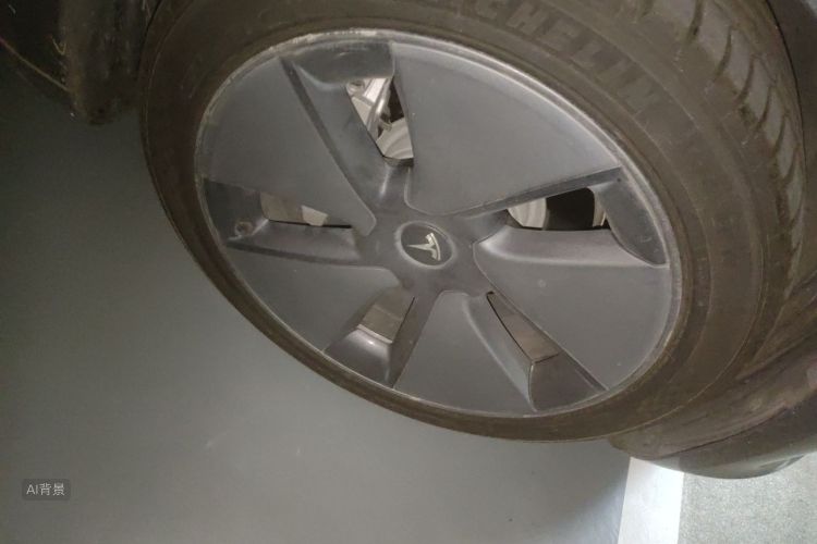 Tesla Model 3 2021 car image #9
