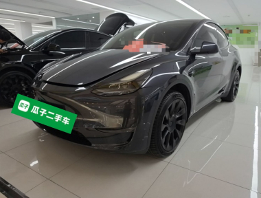 Tesla Model Y 2024 Tesla Model Y 2024 car image