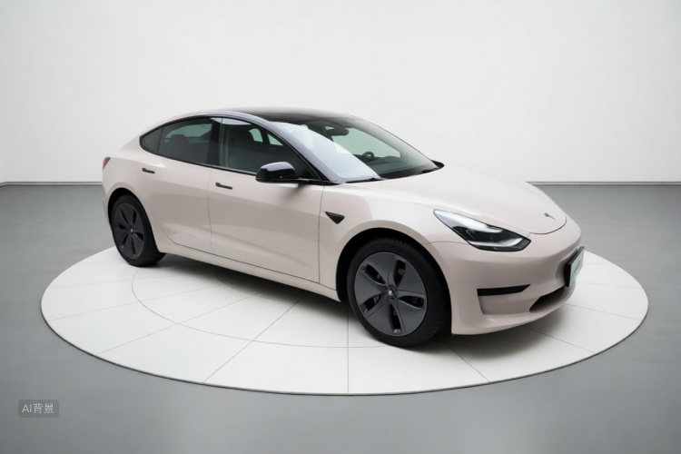 Tesla Model 3 2020 #4 Tesla Model 3 2020 car image #4