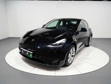 Tesla Model Y 2022 Tesla Model Y 2022 car image