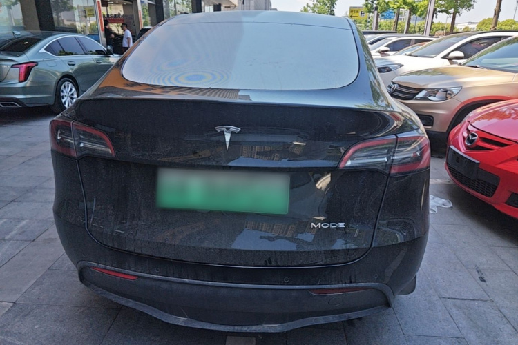 Tesla Model Y 2021 car image #6