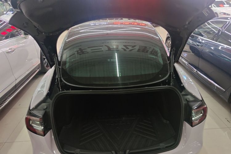 Tesla Model 3 2020 #21 Tesla Model 3 2020 car image #21