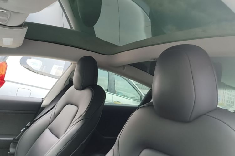 Tesla Model 3 2020 car image #18