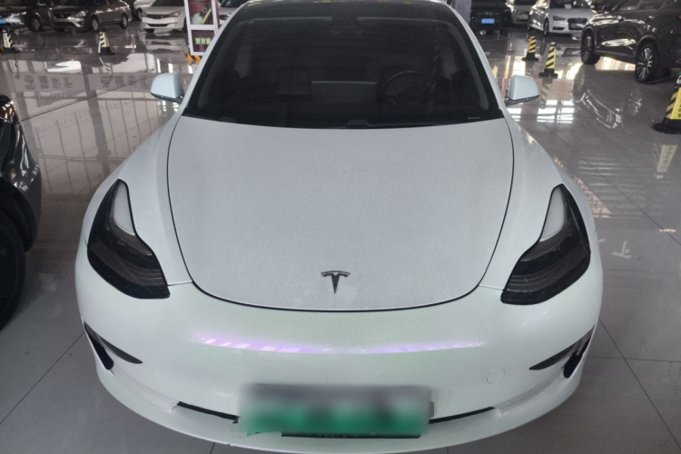 Tesla Model 3 2020 #3 Tesla Model 3 2020 car image #3