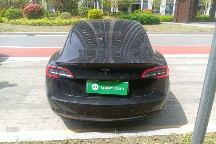 Tesla Model 3 2020 car image #6