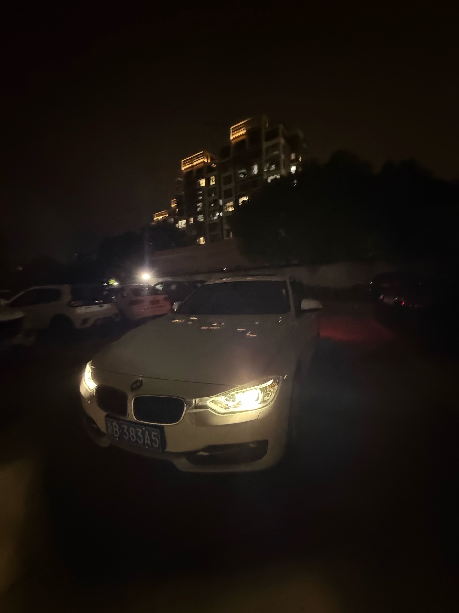BMW 3 Series 2014 car image #4