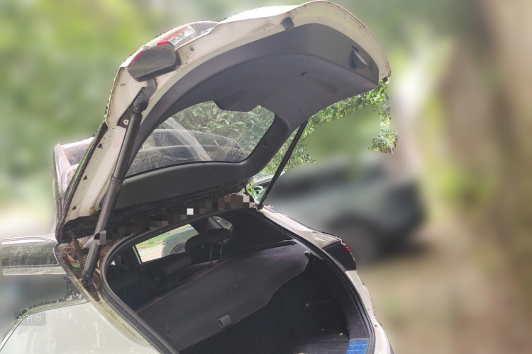 GEELY Coolray 2020 #21 GEELY Coolray 2020 car image #21