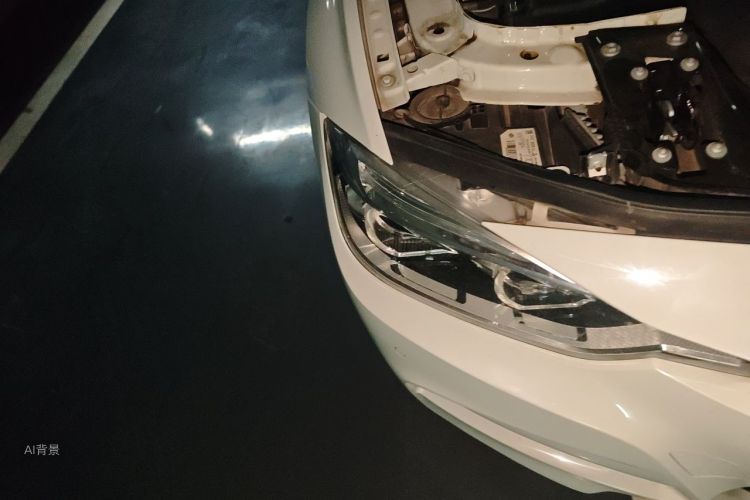 BMW 3 Series 2017 car image #8