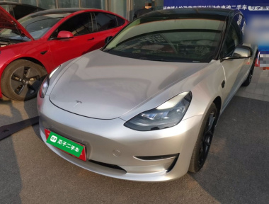 Tesla Model 3 2021 car image 