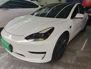 Tesla Model 3 2021 car image 