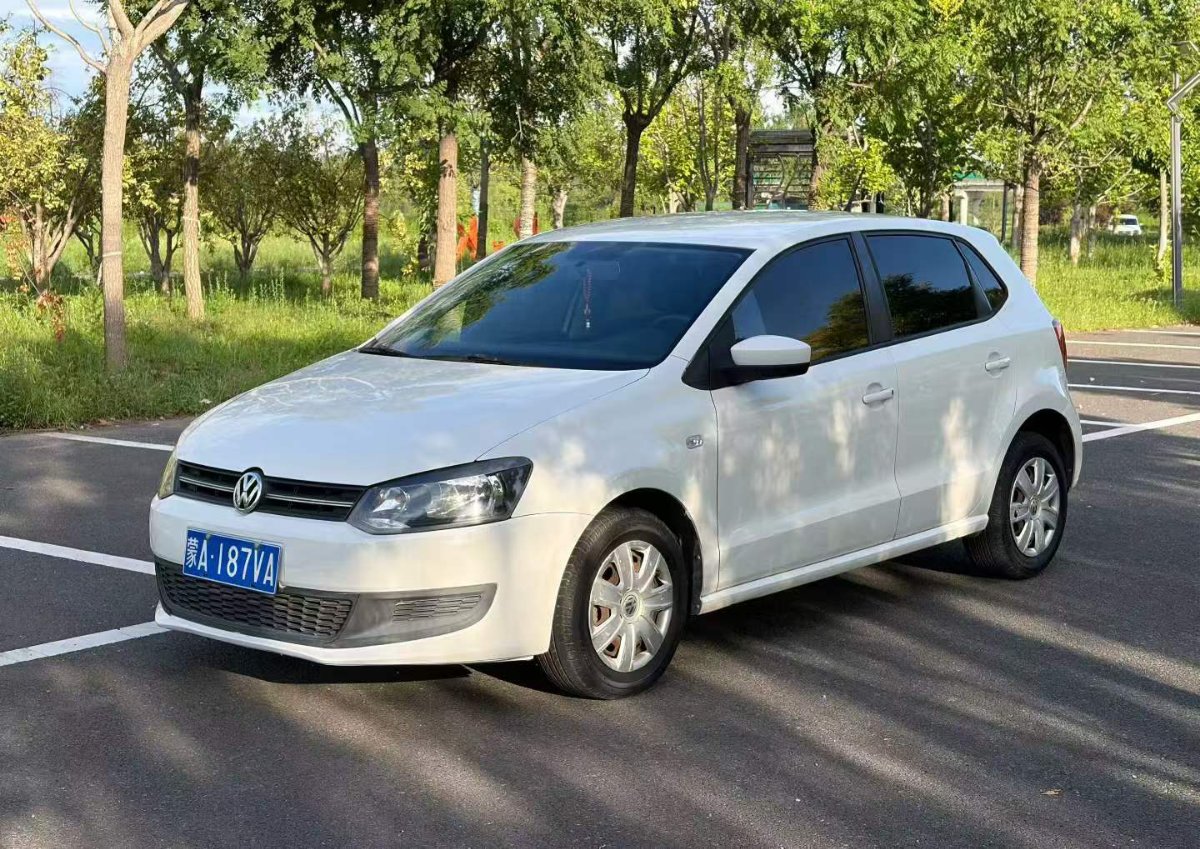Volkswagen Polo 2013 car image 