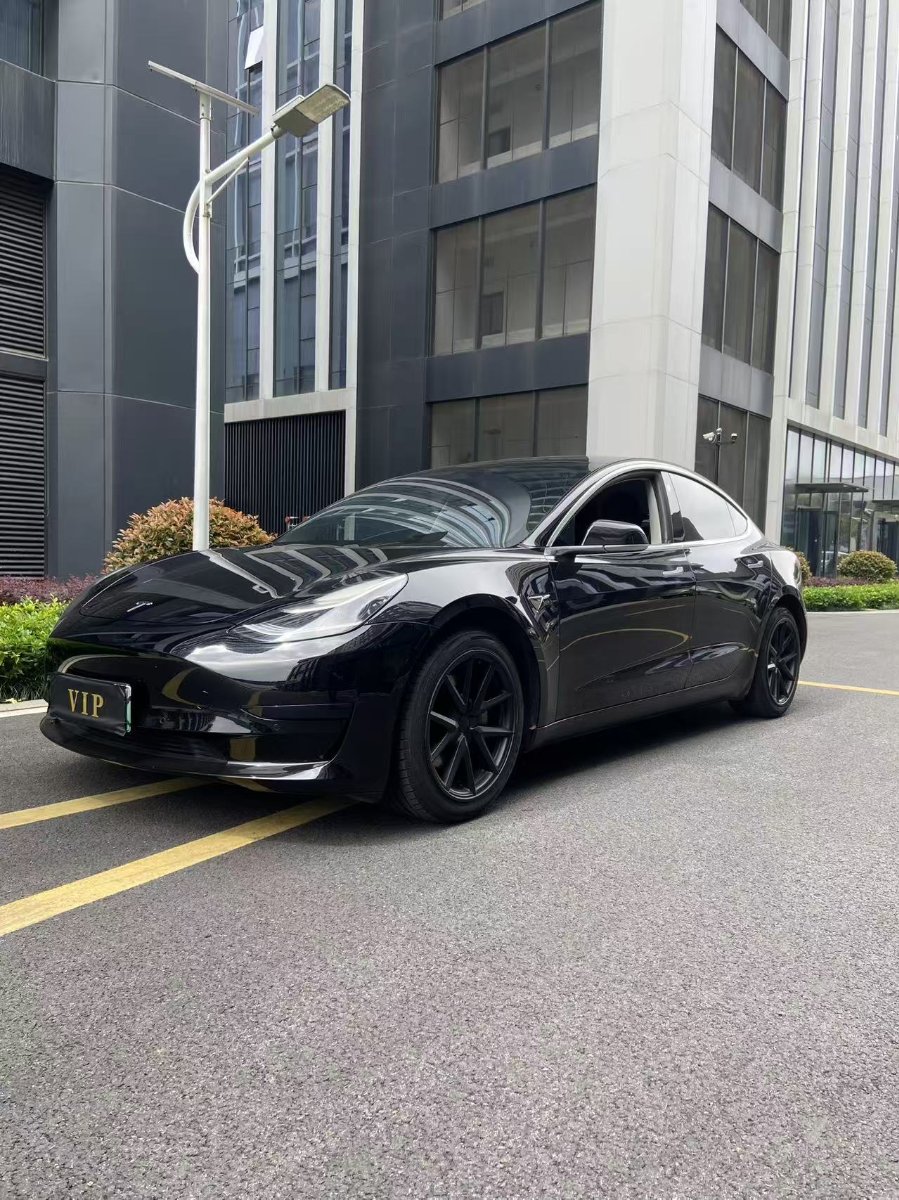 Tesla Model 3 2020 Tesla Model 3 2020 car image