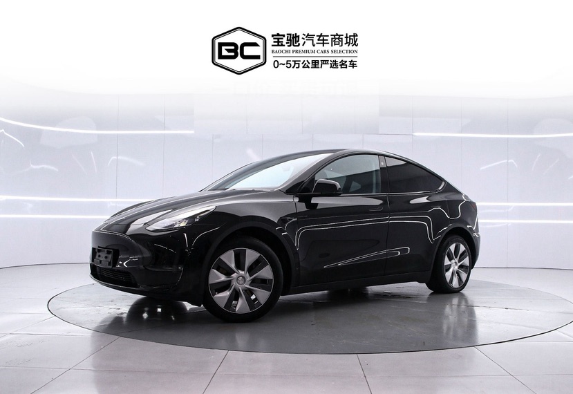 Tesla Model Y 2023 Tesla Model Y 2023 car image