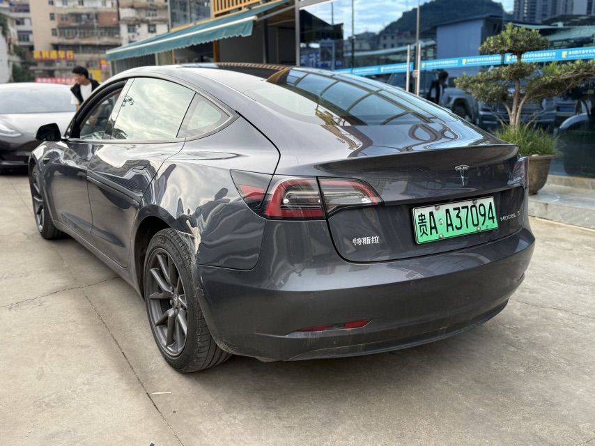 Tesla Model 3 2021 #5 Tesla Model 3 2021 car image #5
